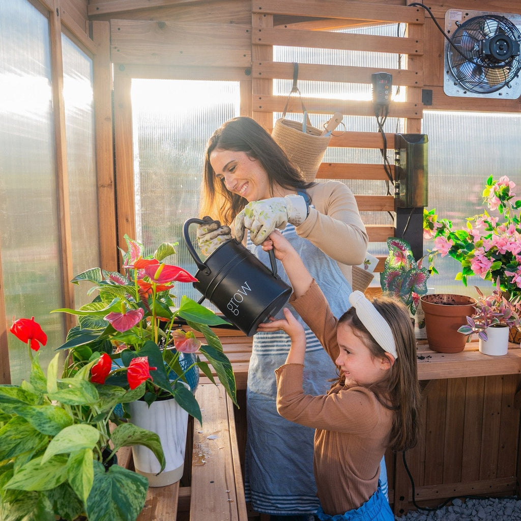 9×6 Willow Greenhouse