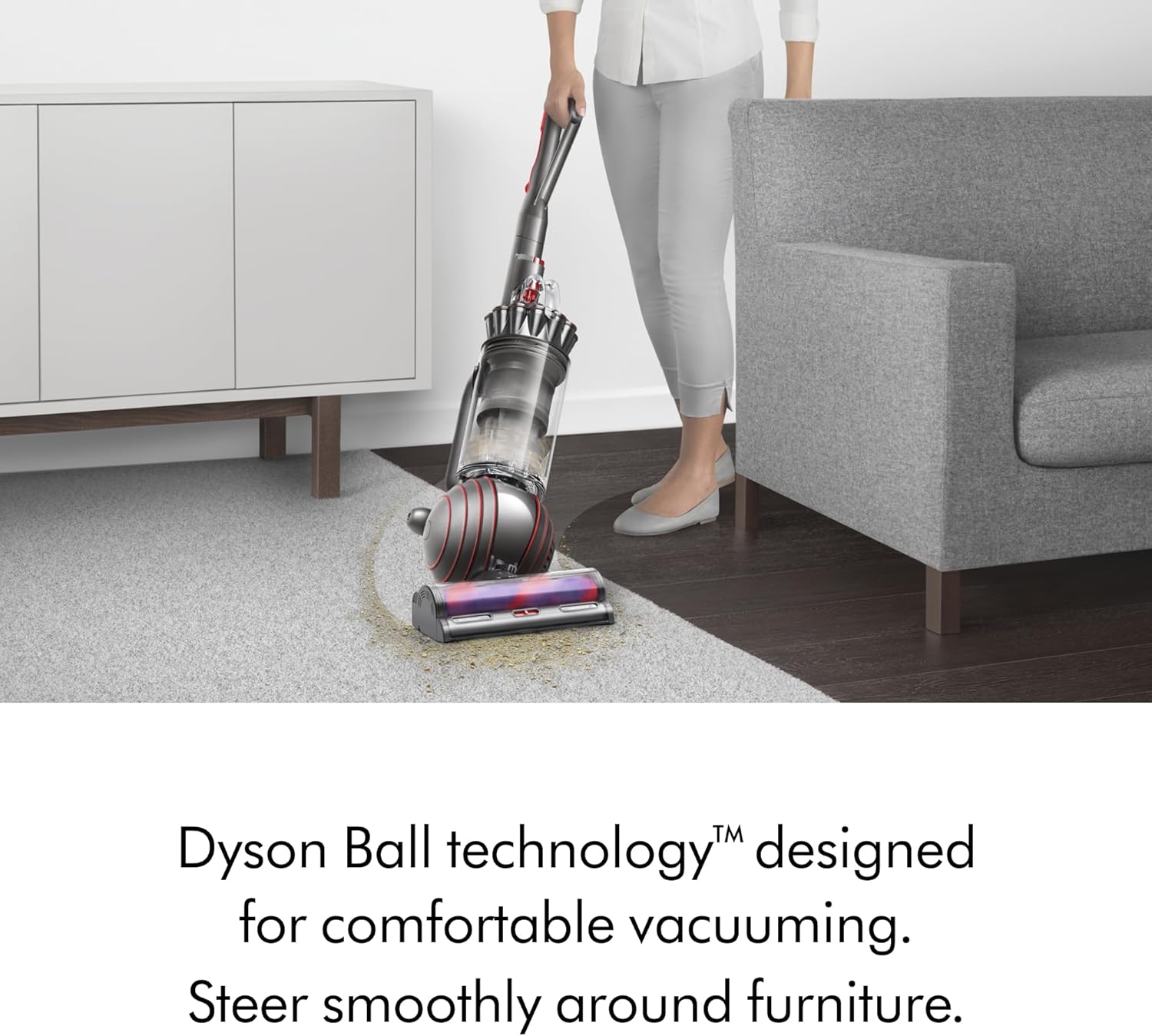 Dyson Ball Animal 3+
