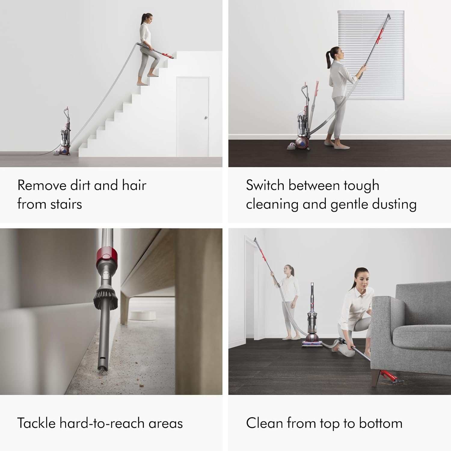 Dyson Ball Animal 3+