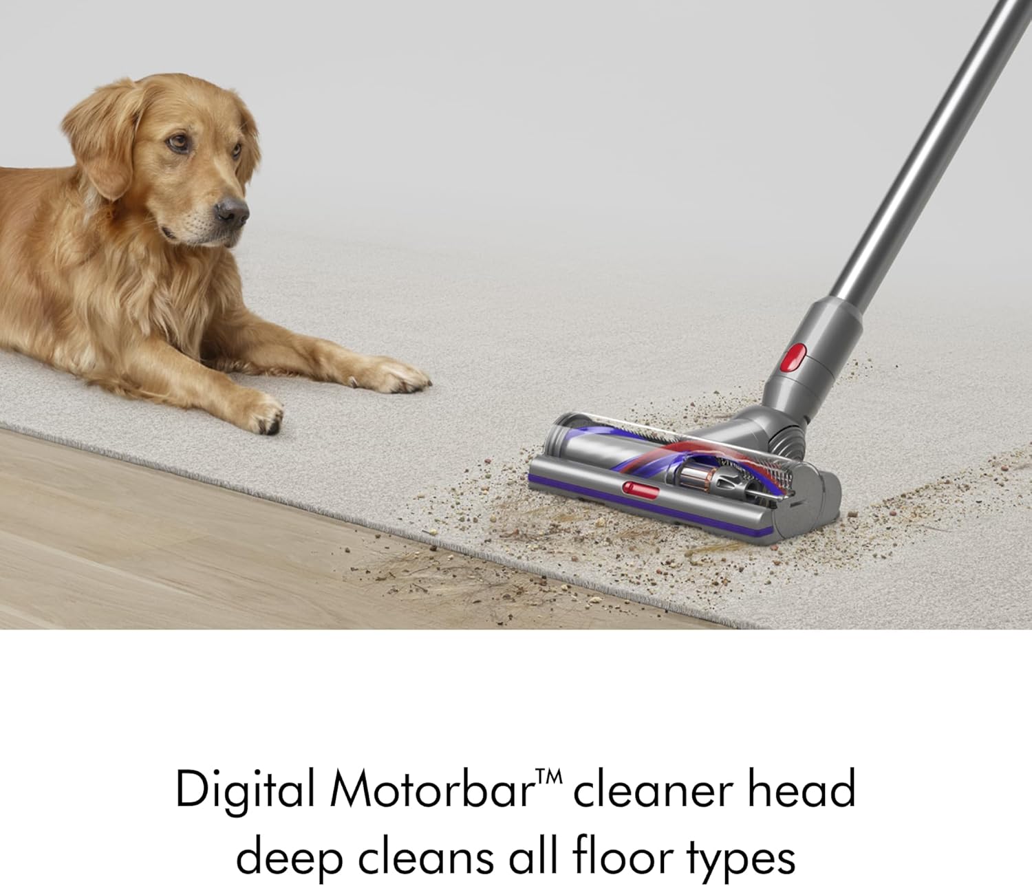 Dyson V15 Detect Cordless Vacuum Cleaner, Yellow/Nickel