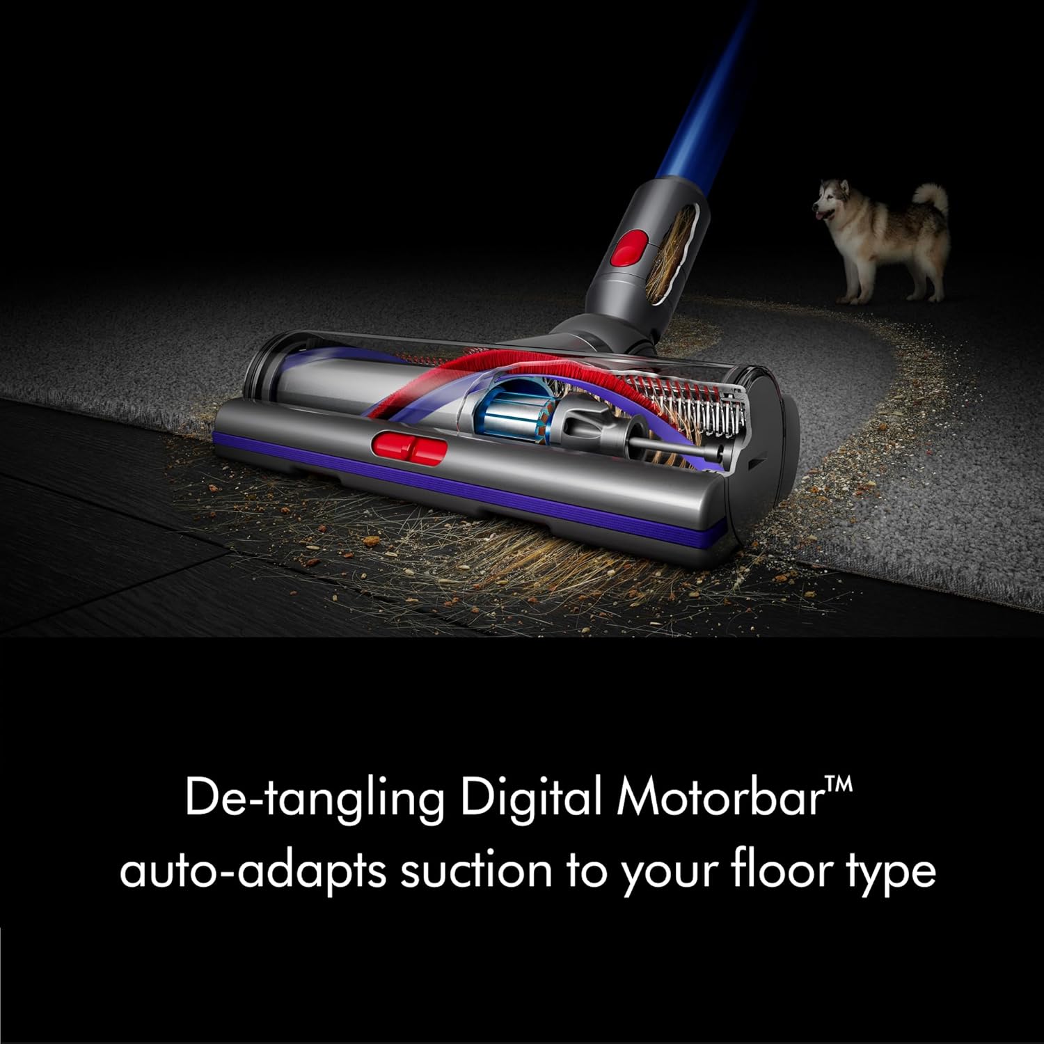 Dyson V11 Torque Drive+ Cordless Vacuum Cleaner