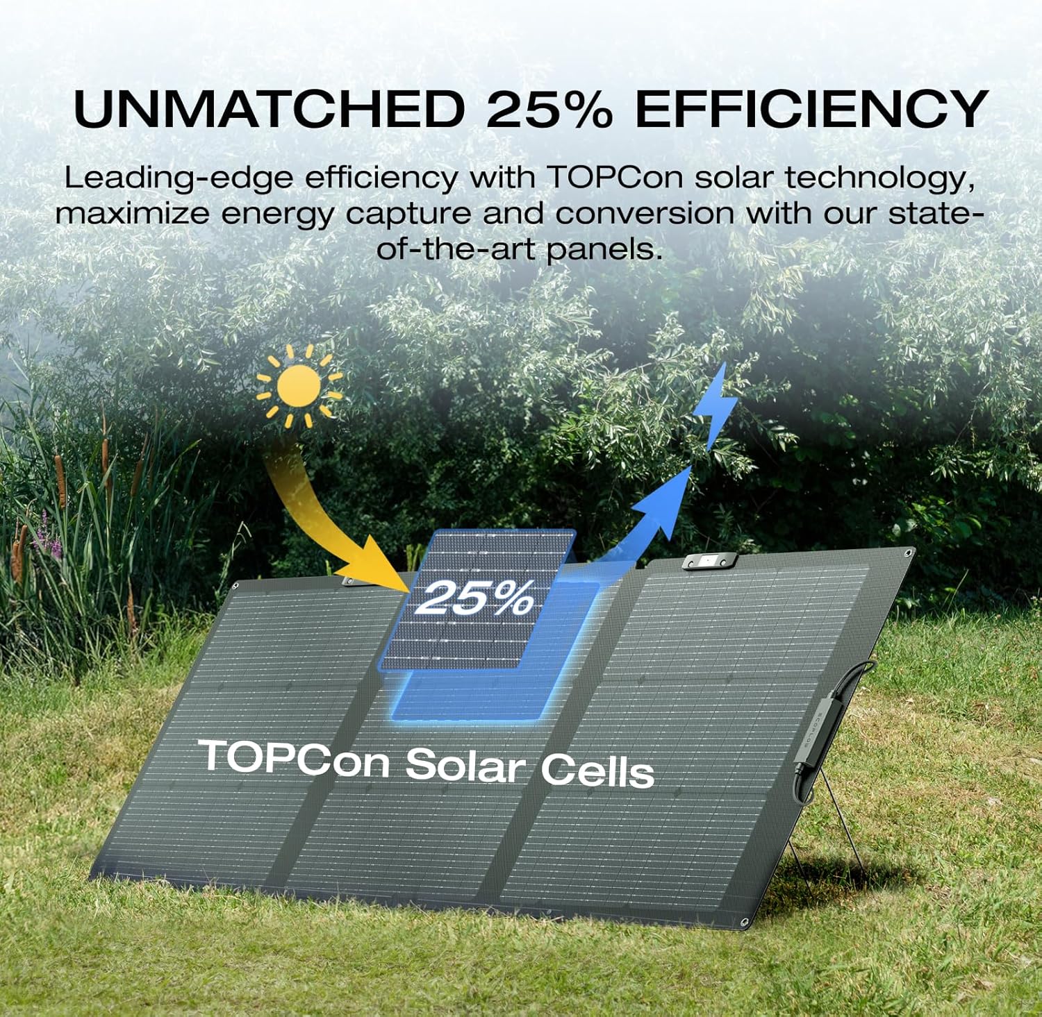 EF ECOFLOW Portable Power Station DELTA 2 Max, 2400W LFP Solar Generator, Full Charge in 1 Hr