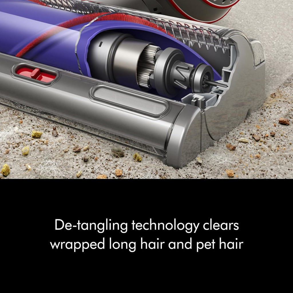 Dyson Ball Animal 3+
