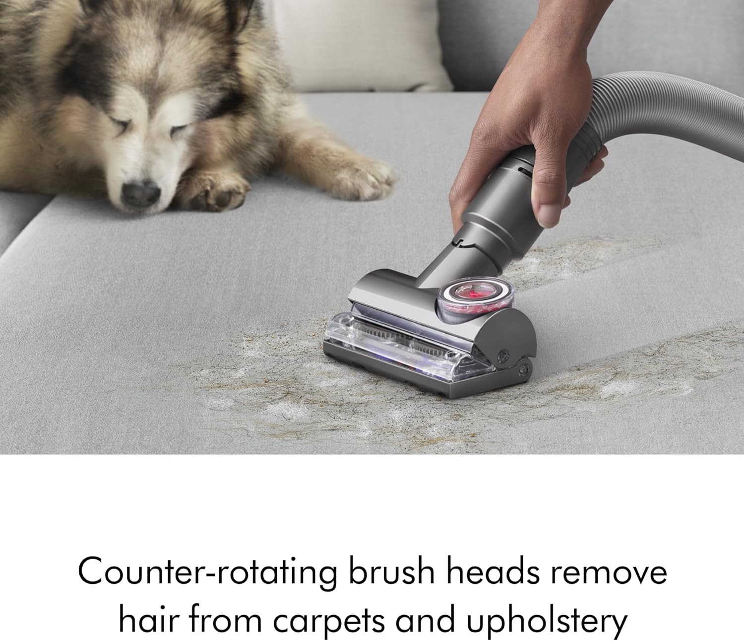 Dyson Ball Animal 3 Upright Vacuum, Corded, 290AW, De-tangling Motorbar Cleaner