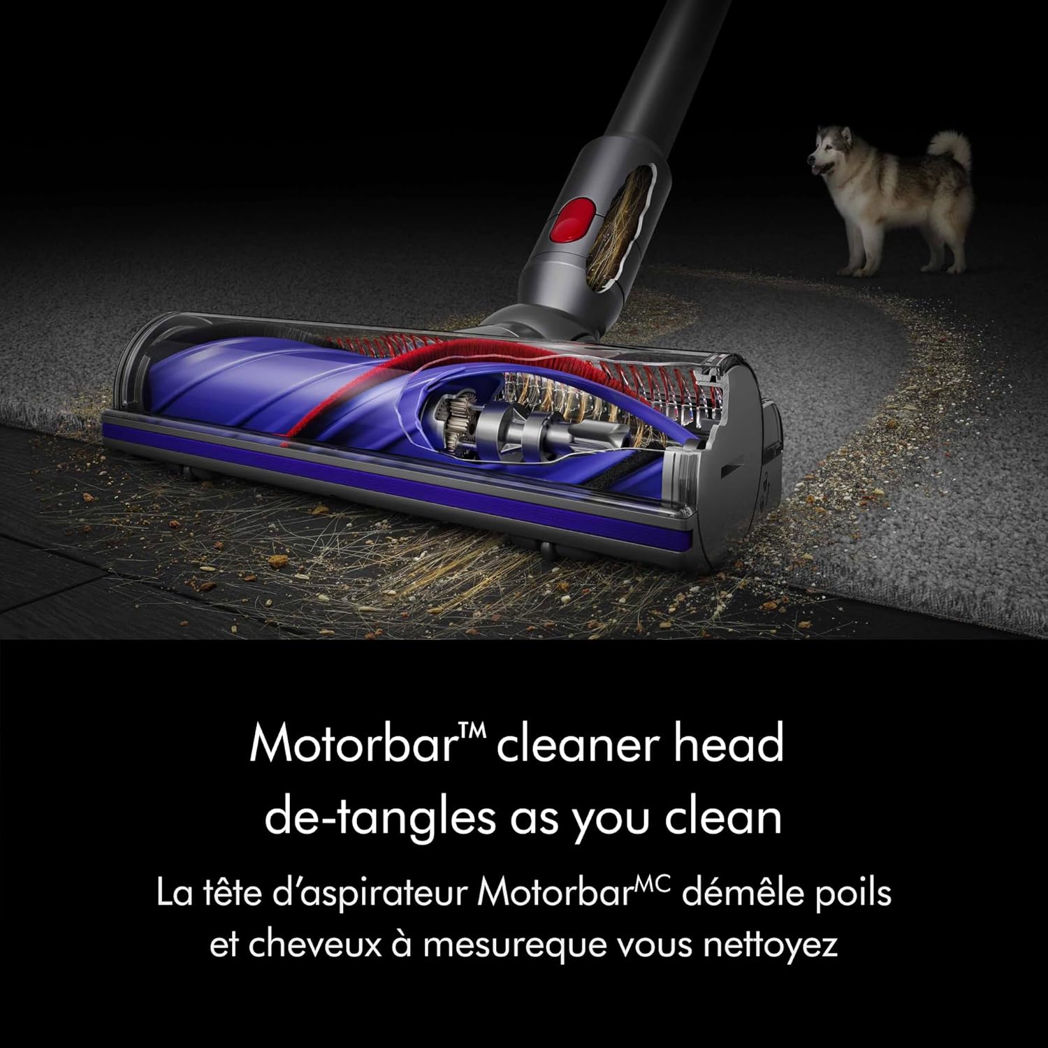 Dyson V8 Origin Vacuum