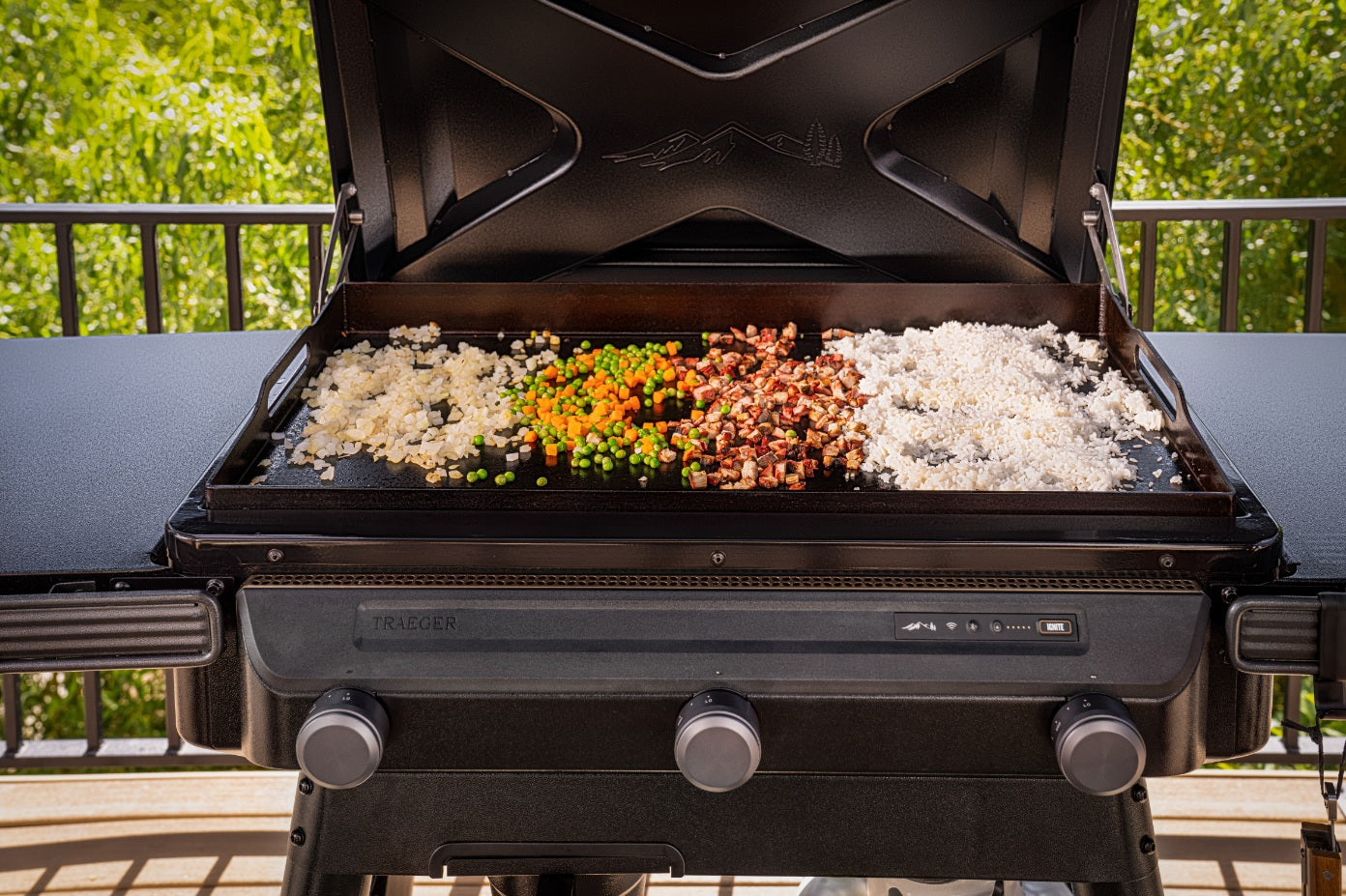 Traeger Flat Top Grill Flatrock™ Griddle