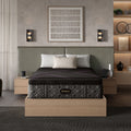 Beautyrest Black® Hybrid Series Two Medium Apex Top Mattress