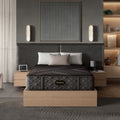 Beautyrest Black® Hybrid Series Two Plush Mattress