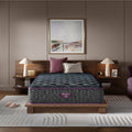 Beautyrest World Class Level Three Plush Mattress