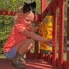 Five Star ll Space Saver Swing Set