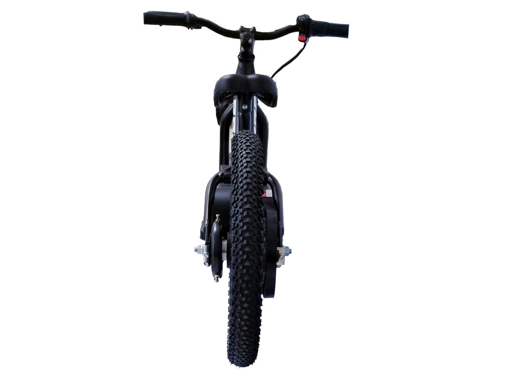 BROCUSA 16-inch Balance E-Bike-Black | Free Shippin