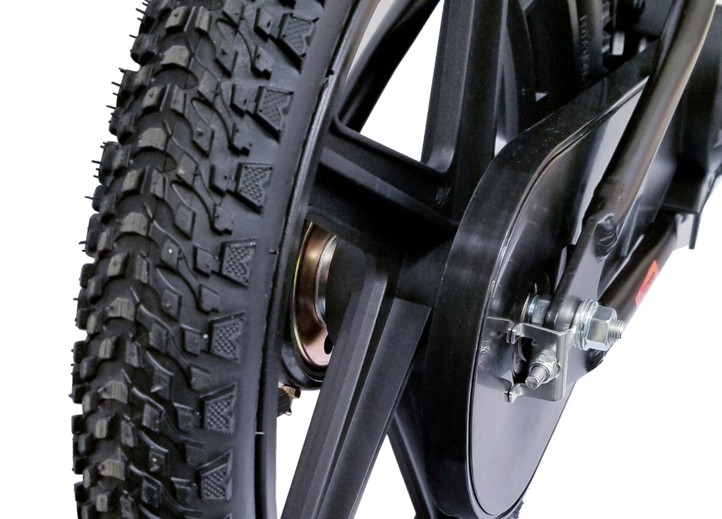 BROCUSA 16-inch Balance E-Bike-Black | Free Shippin