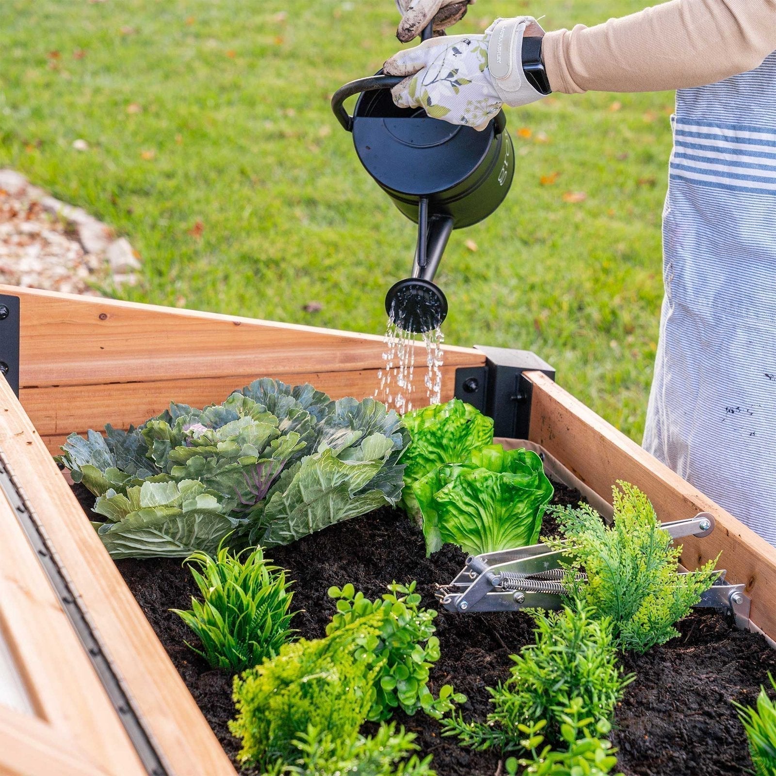 Aggie Cold Frame Box
